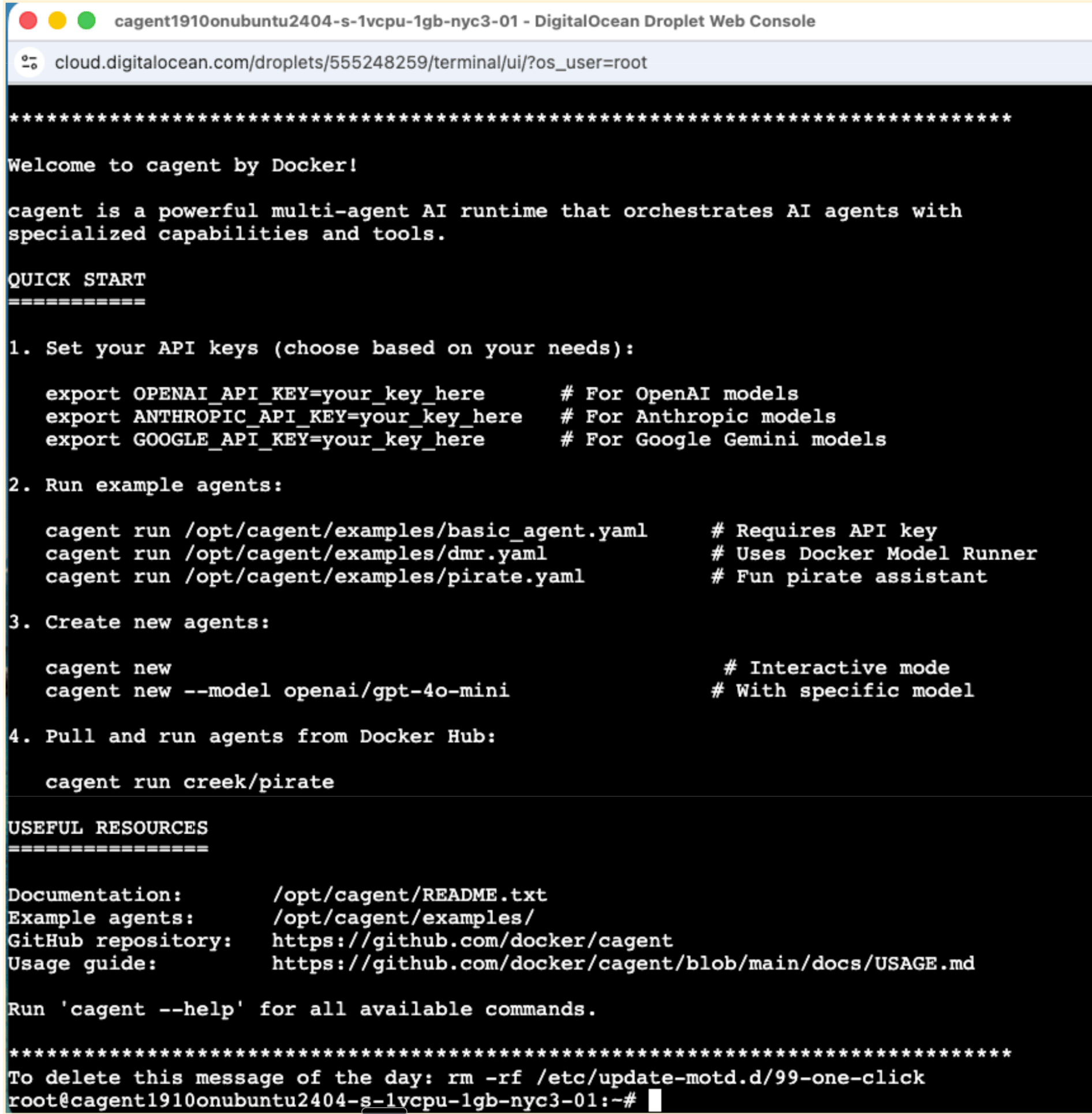 Access the Droplet Console from the Access tab in your Droplet settings